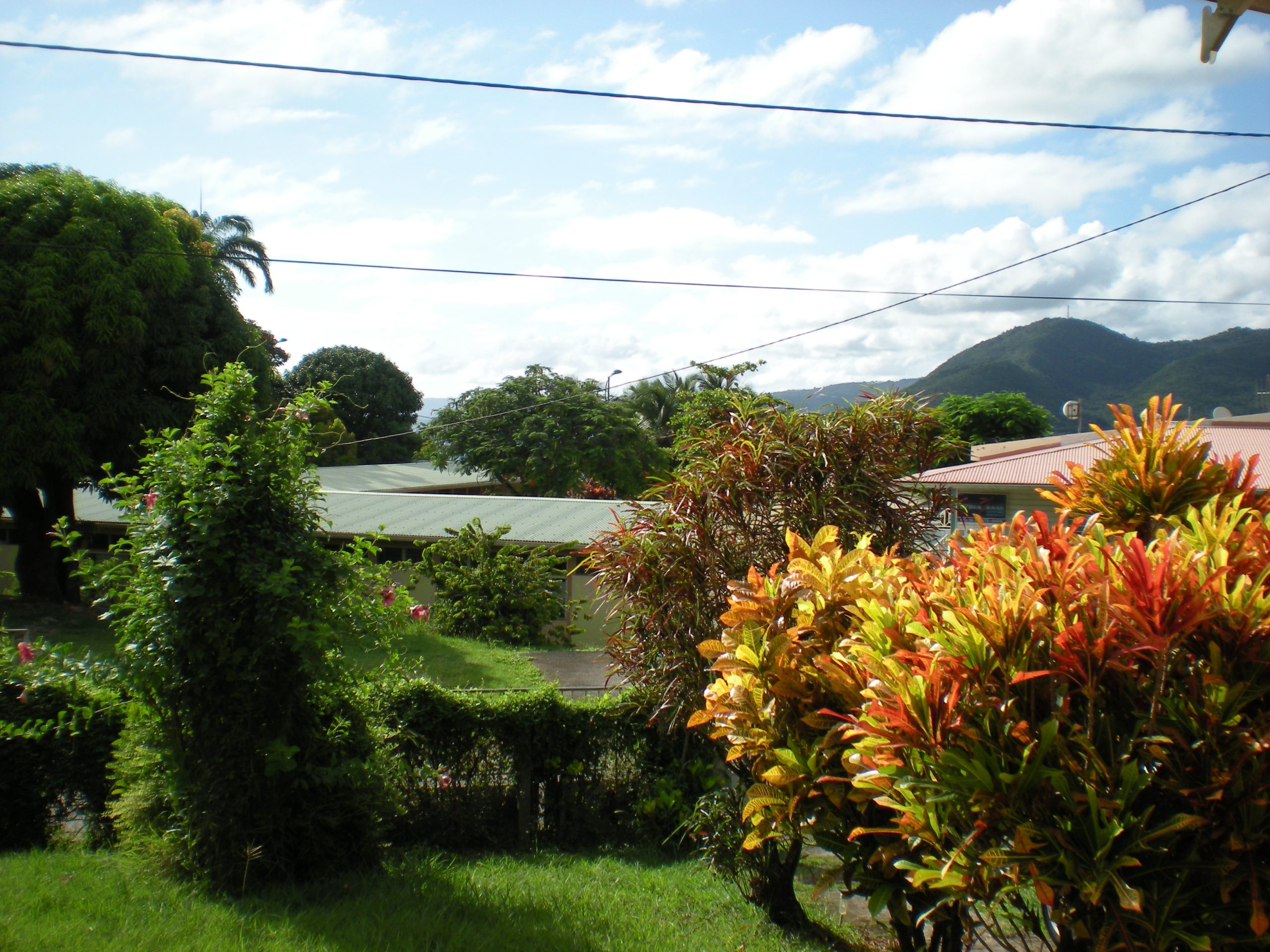 martinique anthropology